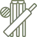 Cricket Pitch